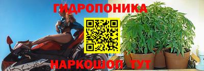 стафф Кудымкар