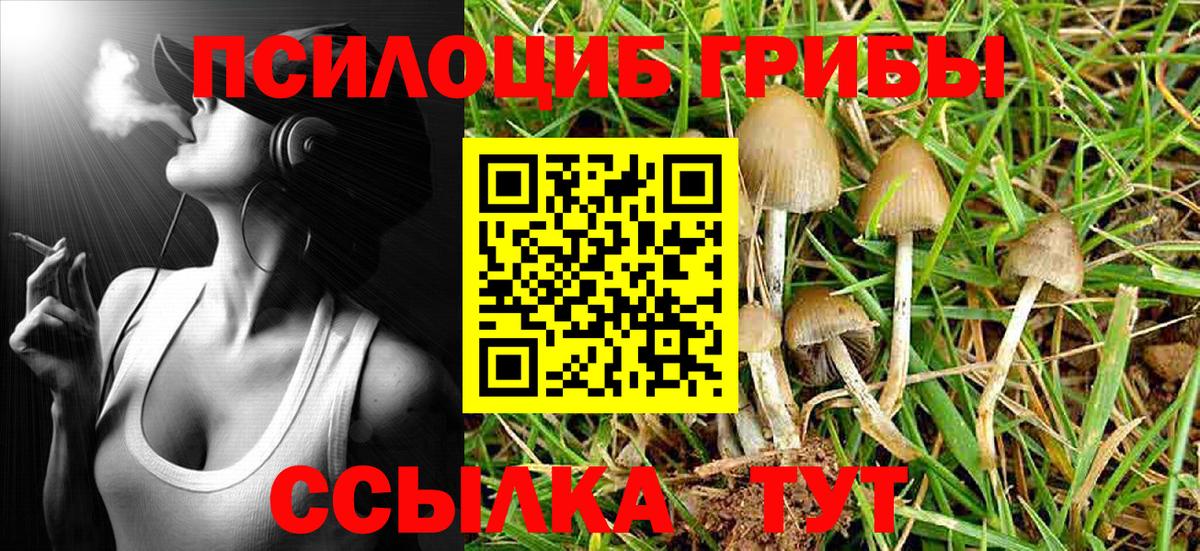 Галлюциногенные грибы GOLDEN TEACHER Белорецк